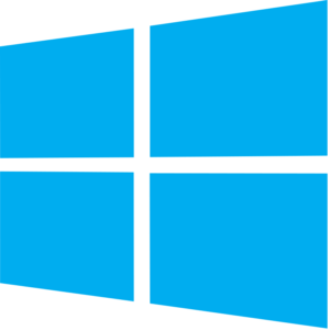 windows 11