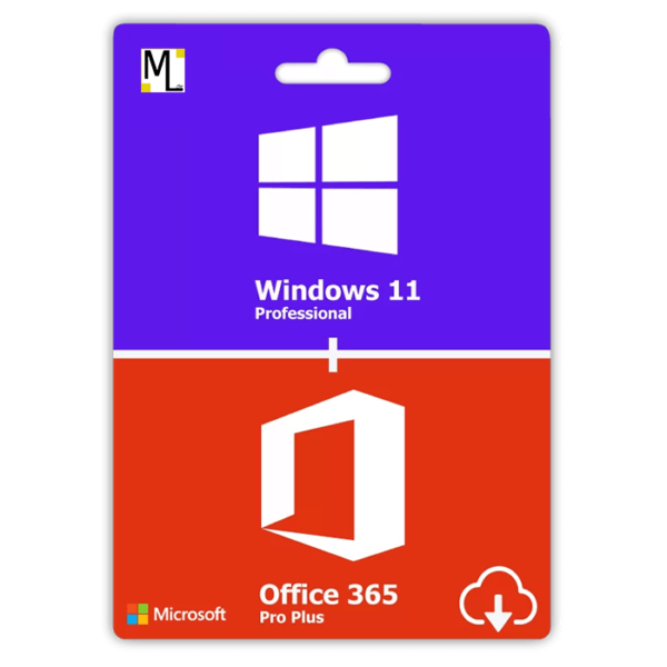 Windows 11 Pro und Office 365 Pro Plus